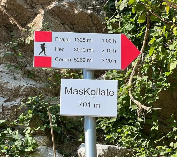 Sinjalistikë, punim nga Agolli Reklama